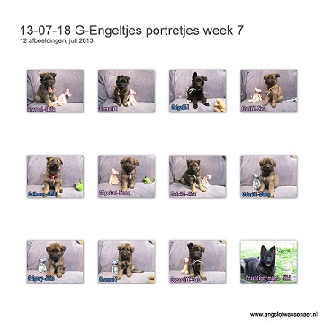 G-Engeltjes portretjes week 7
